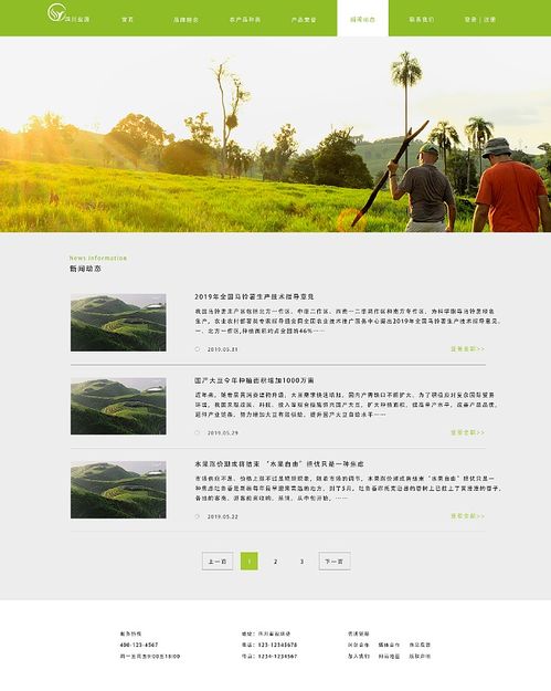 清新自然的農(nóng)產(chǎn)品網(wǎng)站界面設(shè)計(jì)思考